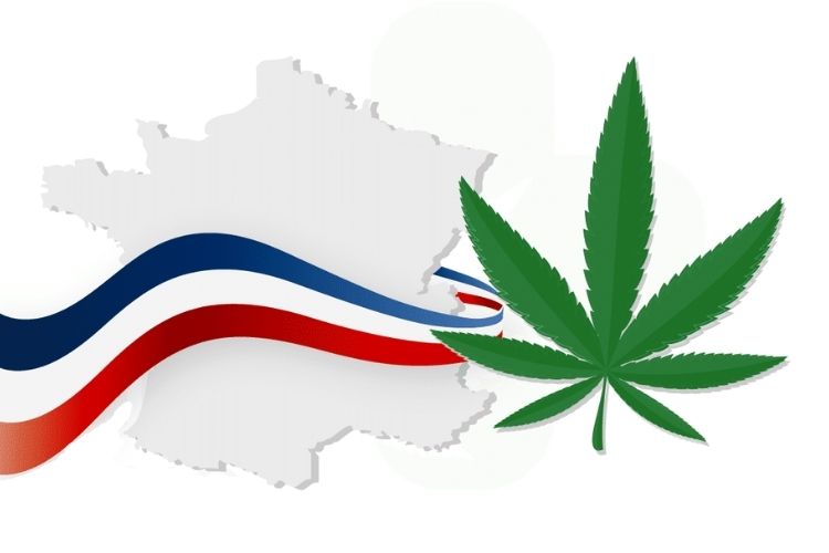vente-de-cannabis-en-france